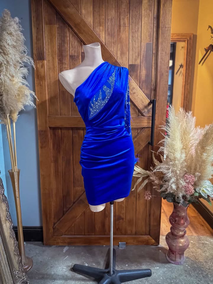 Velvet Feather Dress