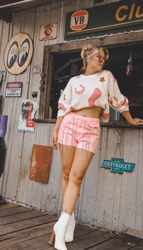 Horseshoe & Stars Sweater