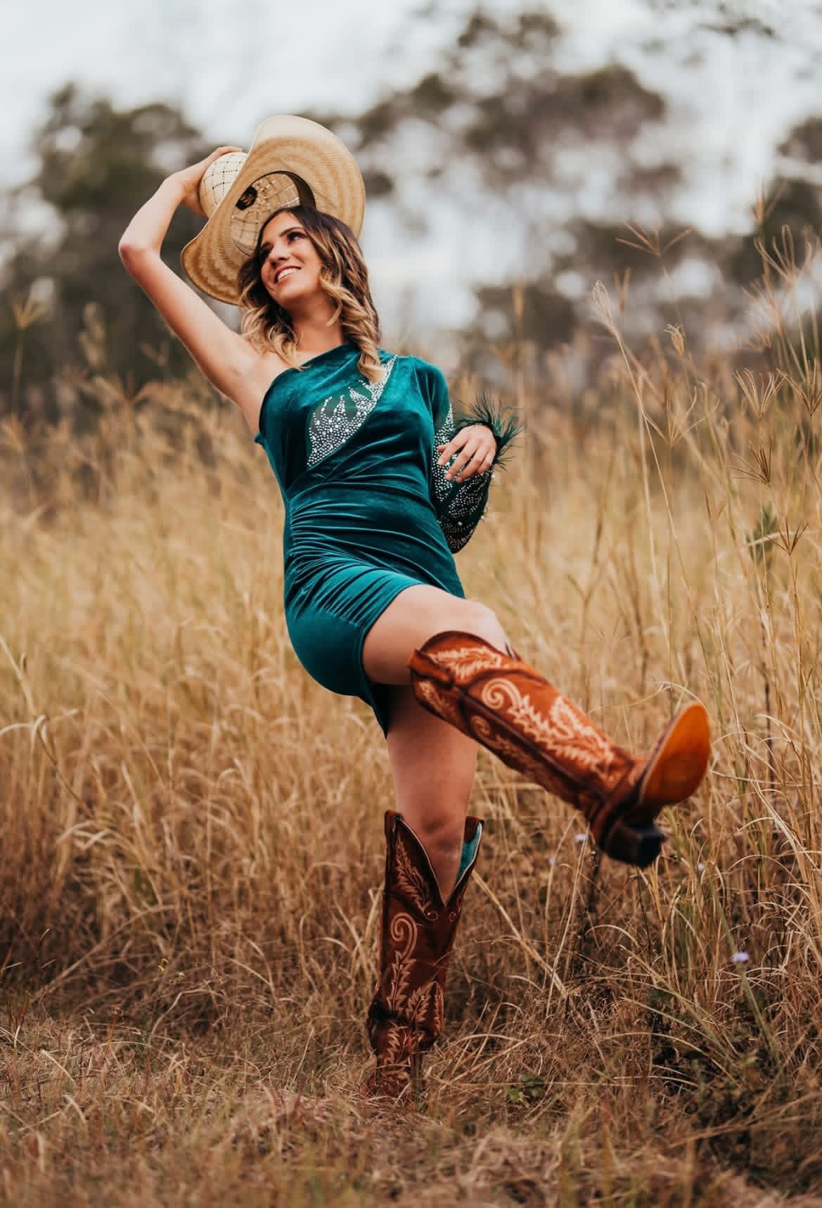 Velvet Feather Dress