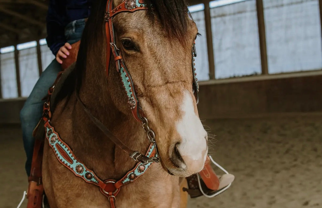 Annie Oakley Headstall & Breast Collar Set