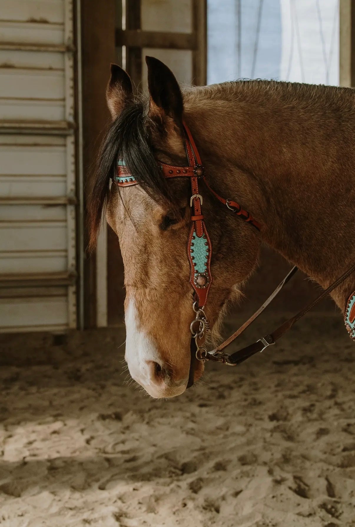 Annie Oakley Headstall & Breast Collar Set