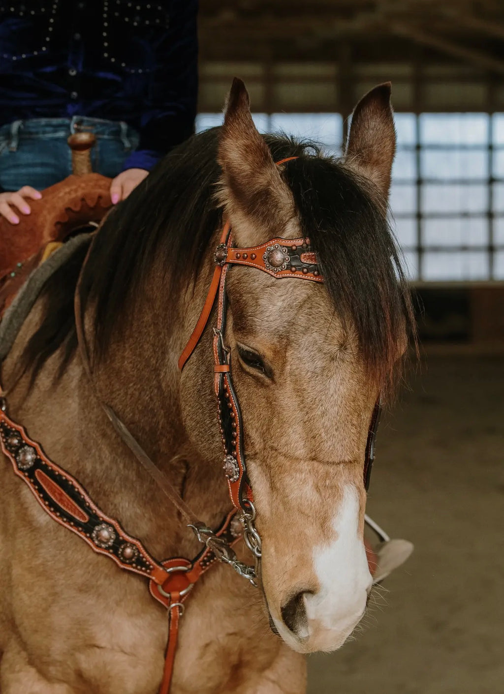 Jesse James Headstall and Breast Collar Set